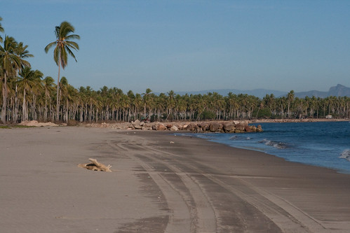 Playa La Tambora